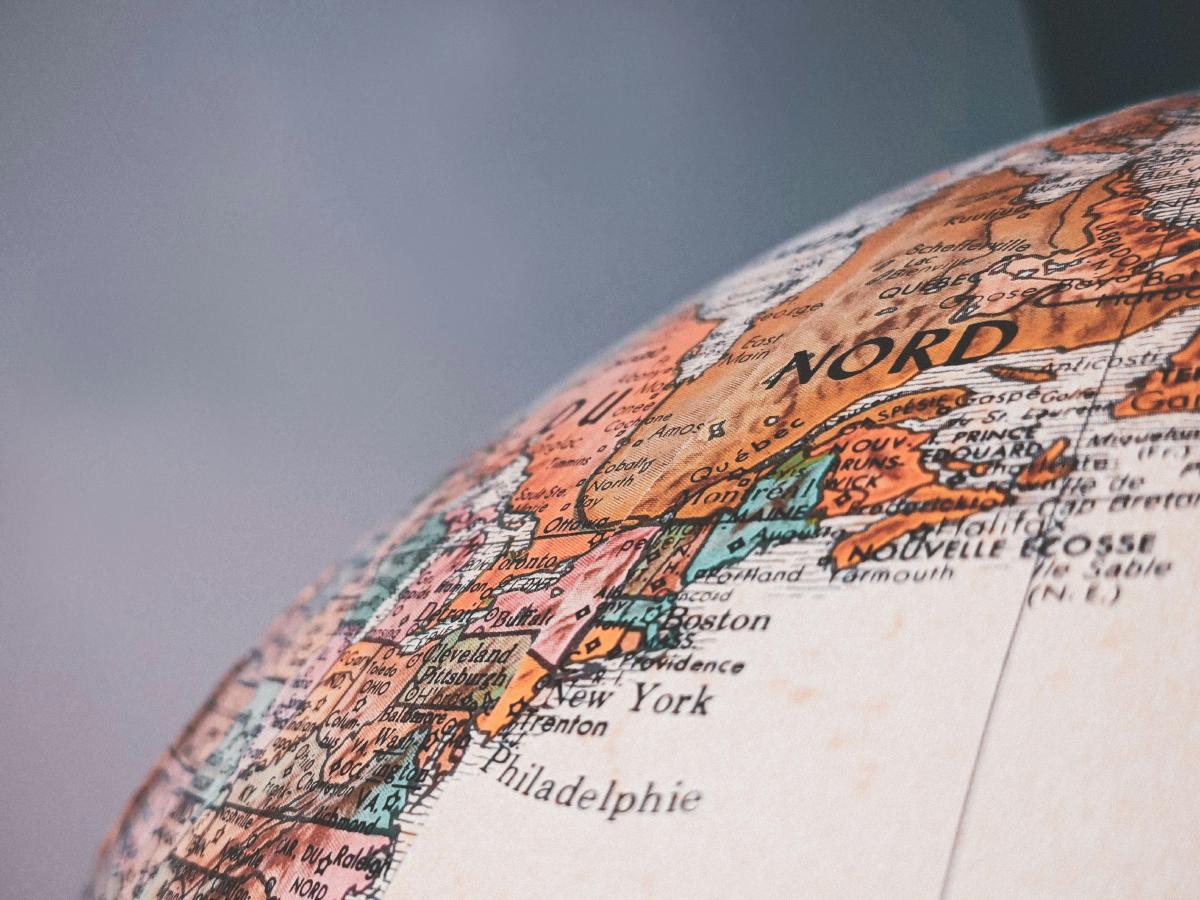 International Language - Sample